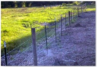 Four strand barbwire fence with T posts and five inch round posts
