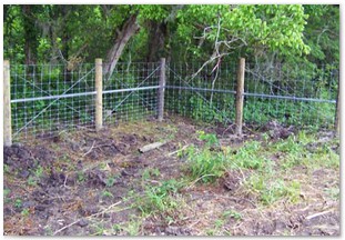 Field fence with five inch round posts and 4x4 wire (2)