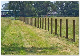 Field fence with round timber style poles (2)