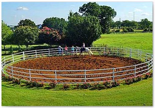 Round horse training pen