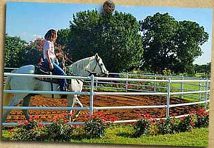 Round horse training pen 2