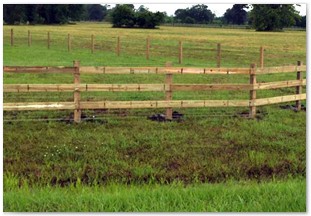 Three rail horse fence with wire