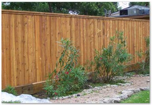 7ft Capped western red cedar fence after stain