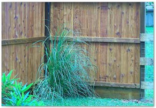 Weather sealed and capped with rot board fencing