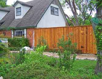 Cedar Fences