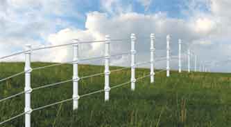 Ranch Fences